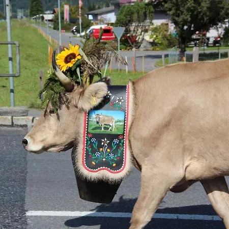 Hotel-restaurant Alpina 3* Иннерткирхен