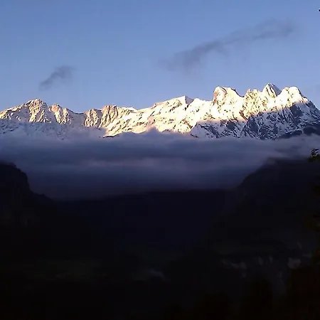 Hotel-restaurant Alpina 3*