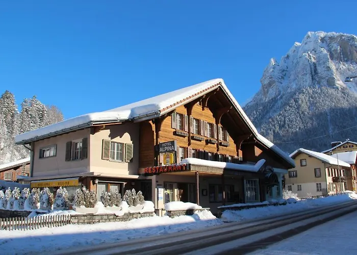 Hotel-restaurant Alpina Penzion 3*